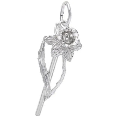 Daffodil Charm