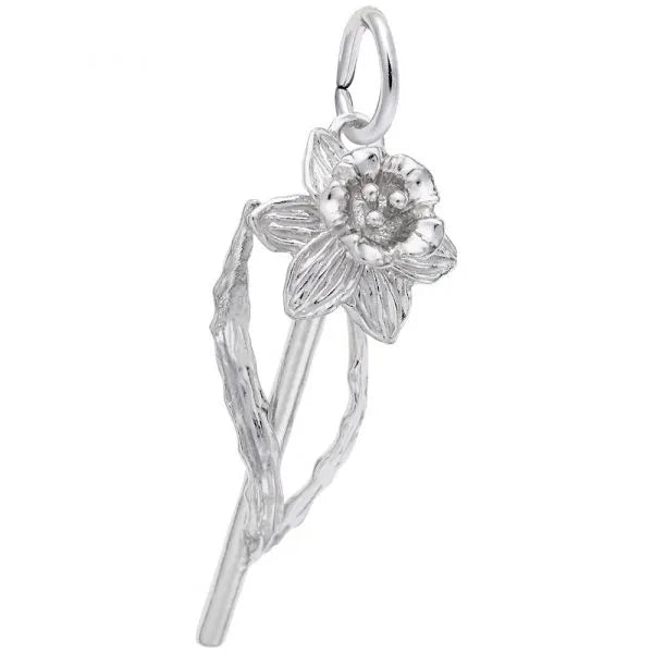 Daffodil Charm