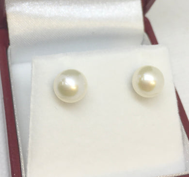 Large Pearl Earrings